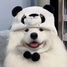 二