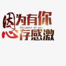 用户评价