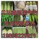 A精品兰州蔬菜专业代收、代办