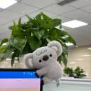 阿乐@一手源头粉商