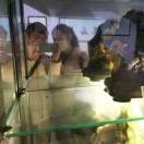 今年和的头像-STL下载网_3D打印模型网_3D模型库_3D打印模型素材_3D打印机