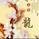 建安汇用户头像