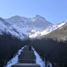 高级软件工程师