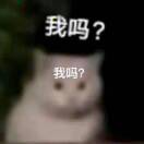 Nine的头像-VAM®克苏恩资源社区