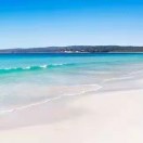 用户98263874的头像-医学电子书