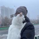 高级移动端研发工程师