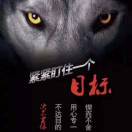 吴先生的头像