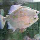 weixin_****Ps8VKg...
