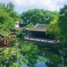 虞女士的头像