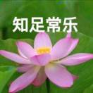 lijx11的头像PNETLab模拟器-pnet模拟器-仿真模拟器-pnet-pnetlabPNETLAB模拟器