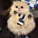 用户头像