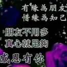 罗女士的头像