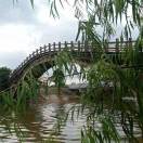 李先生的头像