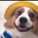 三岁就爱笑