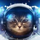 mydaoo's Avatar