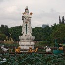 说不得-手游资料站