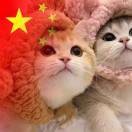。