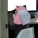吕冰婷