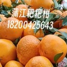 谭得拢(蒲江特产水果)