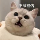 小九