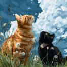 禾小娇的头像-熵减岛