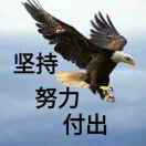叶先生的头像