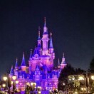 风雨彩虹 的头像