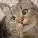 ??Ruby_kukuci??