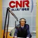 颂东陈