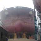 陈列.回忆的头像-进步分子