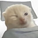 邱美轩
