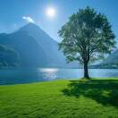 冲锋陷阵李云龙