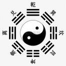 见路不走
