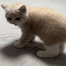 解磊💫13365732978