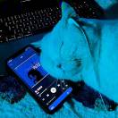 爱骑电驴的胡子的头像-梦马考研