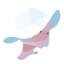 芝加哥(伊利诺伊州)求租