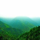 李福華