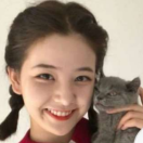 叶先生的头像
