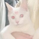 用户94649494的头像-氪赛事-大学生竞赛交流社区