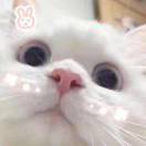 莎莉的头像 - 二次元E站