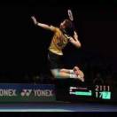 Savage的头像-熵减岛