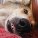 user_we4078alltyym5wp member profile picture