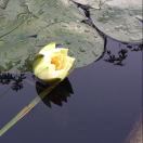 一念起，万水千山