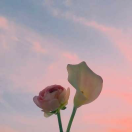 黄子硕