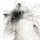 unicorn的头像-小冯的小站