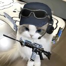张哲