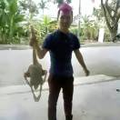 愛哭的香蕉貓??