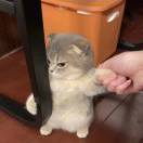 用户69355737的头像-博士钣金 - www.bsbanjin.com