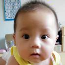 杭州宏坚宝马奔驰小叶