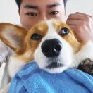 ニャンコ先生头像